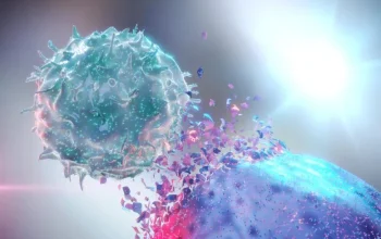 Pembunuh Alami NK Menghancurkan Sel Kanker